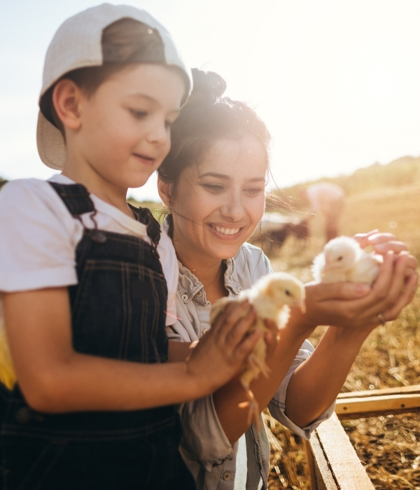 Fattoria didattica con laboratori per bambini a Milazzo